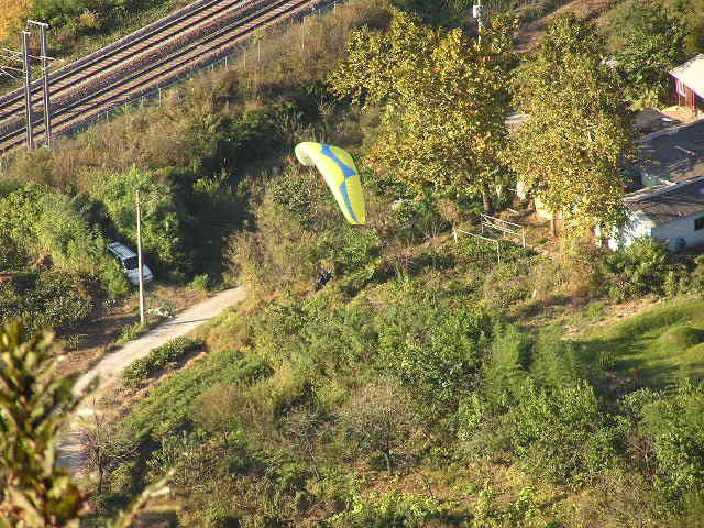 img0113.jpg