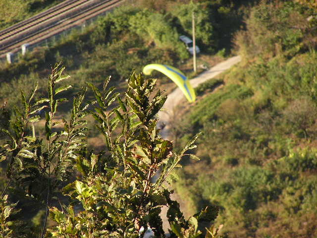 img0114.jpg