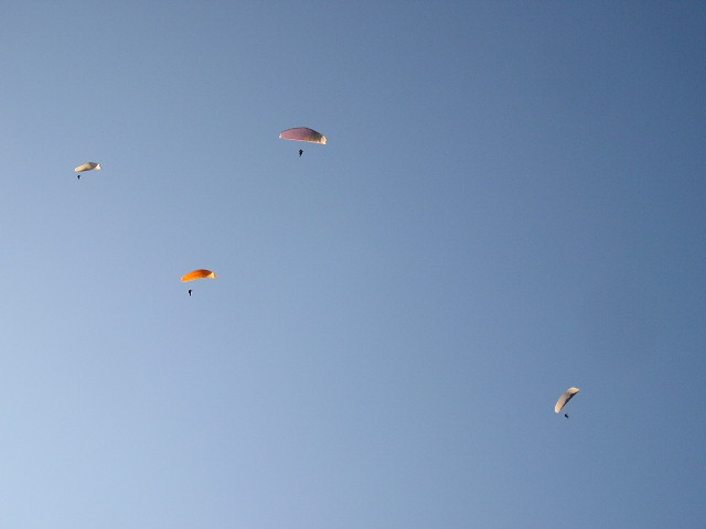 img0115.jpg