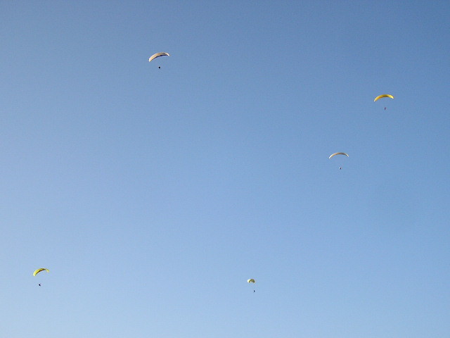 img0116.jpg