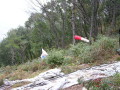 img0008.jpg