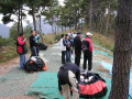 img0010.jpg
