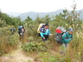 img0014.jpg