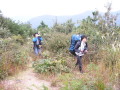 img0015.jpg
