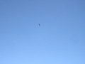 img0046.jpg