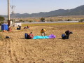 img0064.jpg