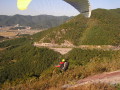 img0081.jpg