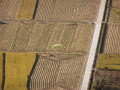 img0096.jpg