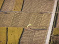 img0097.jpg