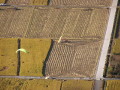 img0098.jpg