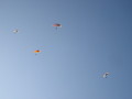 img0115.jpg