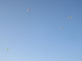 img0116.jpg
