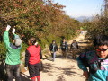 img0128.jpg