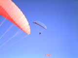 img0008.jpg
