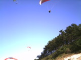 img0009.jpg
