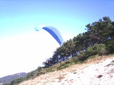 img0012.jpg
