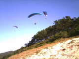 img0013.jpg