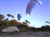 img0017.jpg
