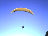 img0018.jpg
