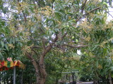 img0004.jpg