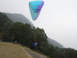 img0017.jpg