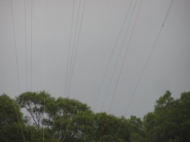 img0024.jpg