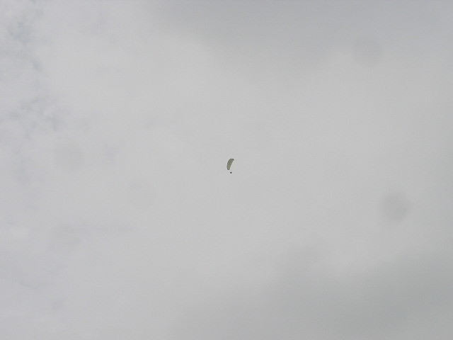 img0031.jpg