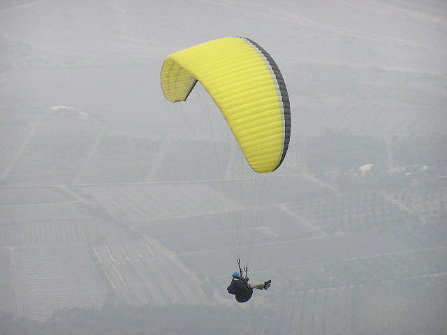 img0037.jpg