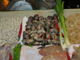 img0007.jpg