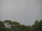 img0024.jpg
