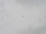 img0031.jpg