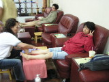 img0048.jpg