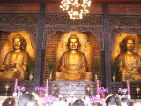 img0011.jpg