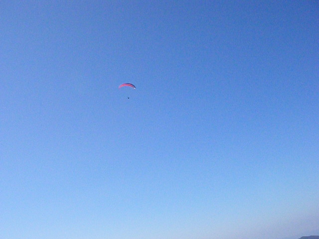 img0037.jpg