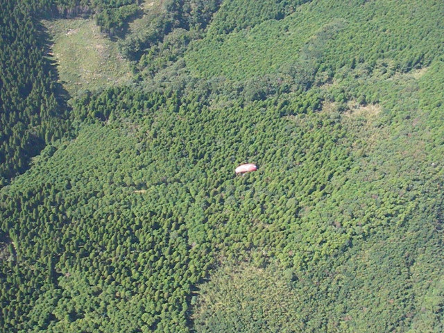 img0050.jpg