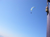 img0036.jpg