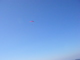 img0037.jpg