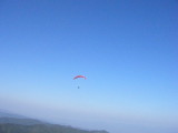img0042.jpg