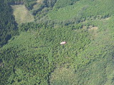 img0050.jpg