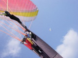 img0016.jpg