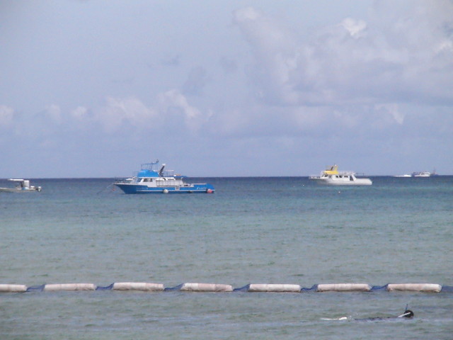 img0016.jpg