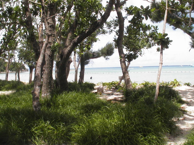 img0020.jpg