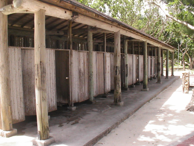 img0022.jpg
