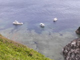 img0010.jpg