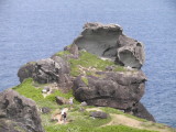 img0013.jpg