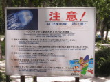 img0017.jpg