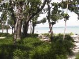 img0020.jpg