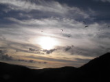 img0035.jpg