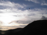 img0038.jpg