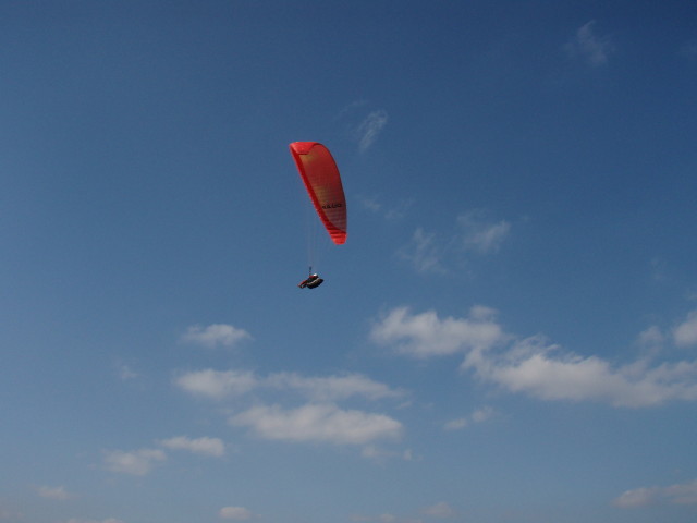 img0003.jpg